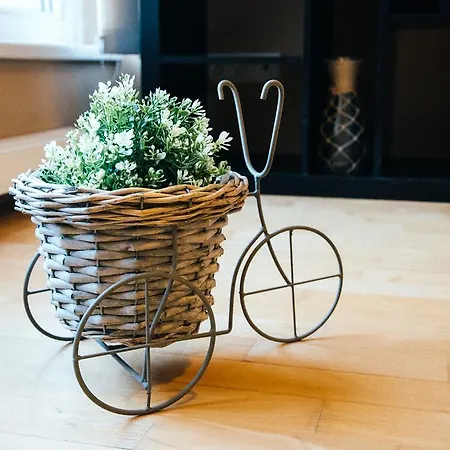 Apartment Zvonarka *